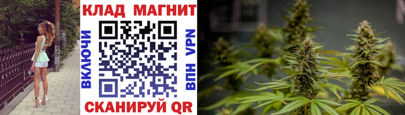 Магазин наркотиков Сенгилей ГАШИШ Метамфетамин Мефедрон Бошки Шишки Амфетамин Кокаин A-PVP