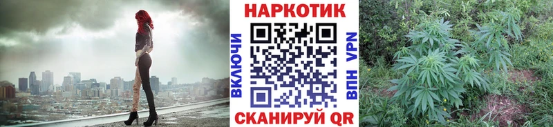 ГАШИШ Сенгилей